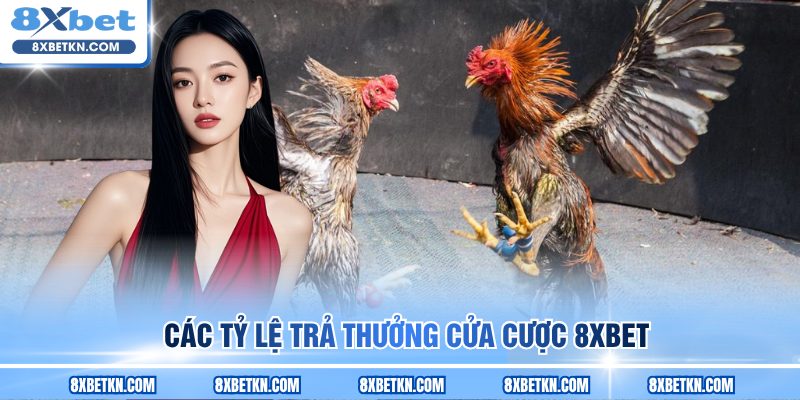 Các tỷ lệ trả thưởng cửa cược 8XBET
