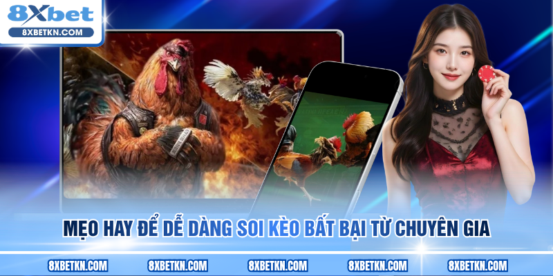 Mẹo hay để dễ dàng soi kèo bất bại từ chuyên gia