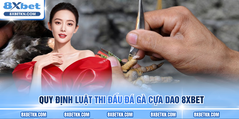 Quy định luật thi đấu đá gà cựa dao 8XBET